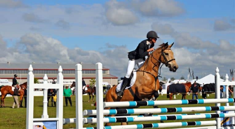 Moore Blatch sponsors 2019 Royal County of Berkshire Show