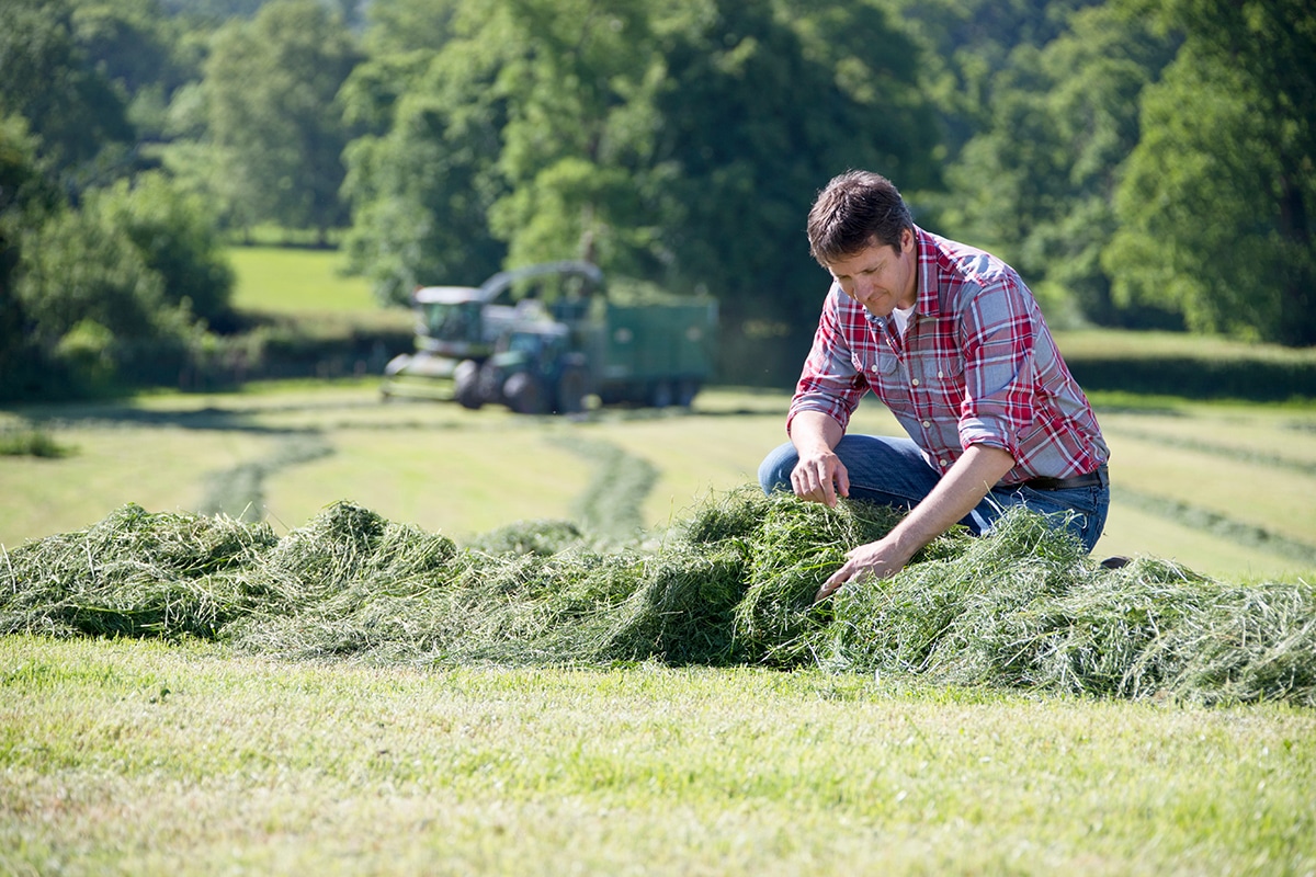 Farmers, mind your head - Moore Barlow LLP