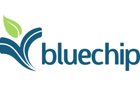 Blue Chip Data Systems logo