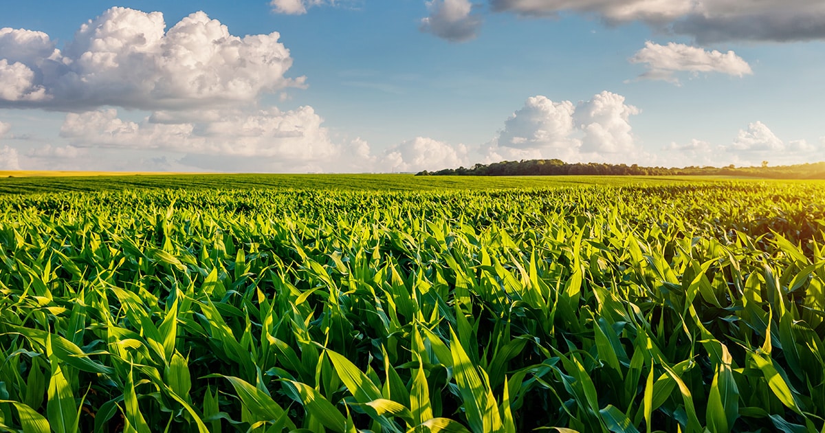 The future of agricultural and business property relief
