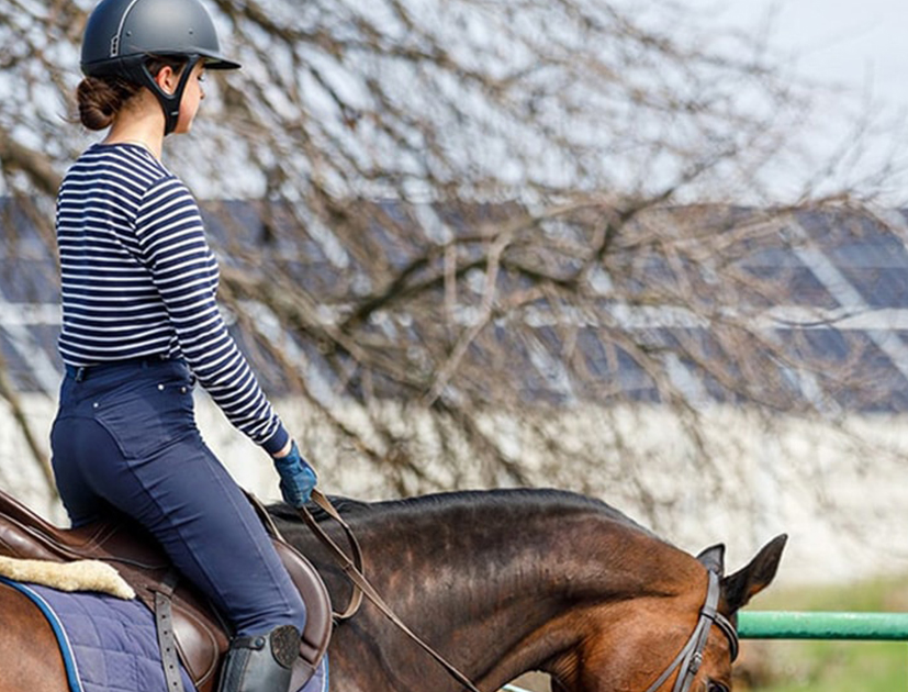 moore barlow solar equestrian