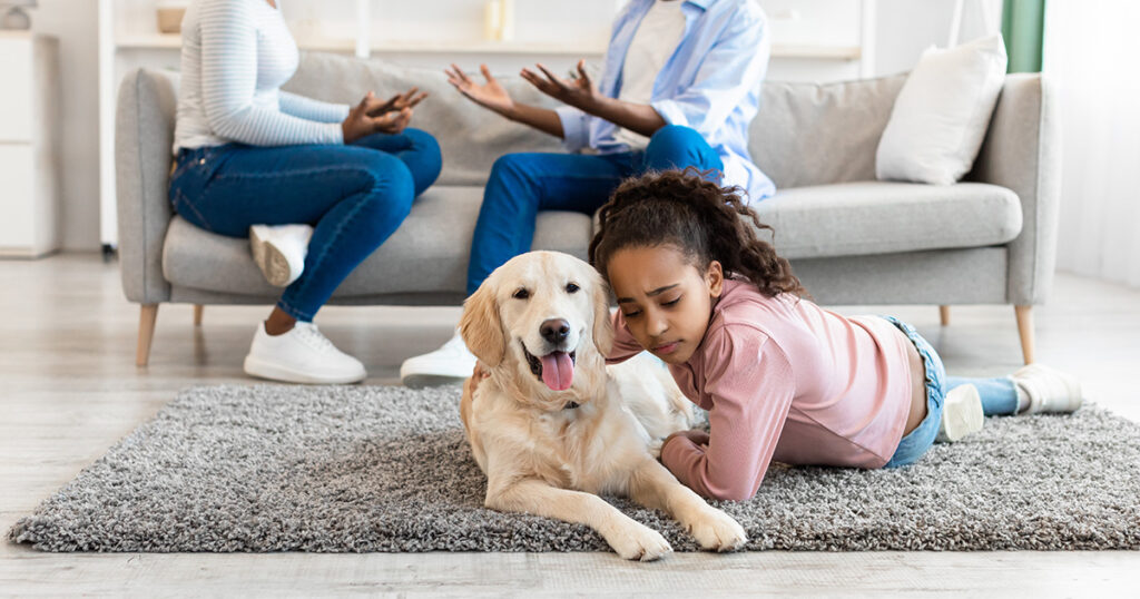Is A Prenup Legally Binding In The UK Everything You Need To Know Moore Barlow Pets Divorce 1024x538 